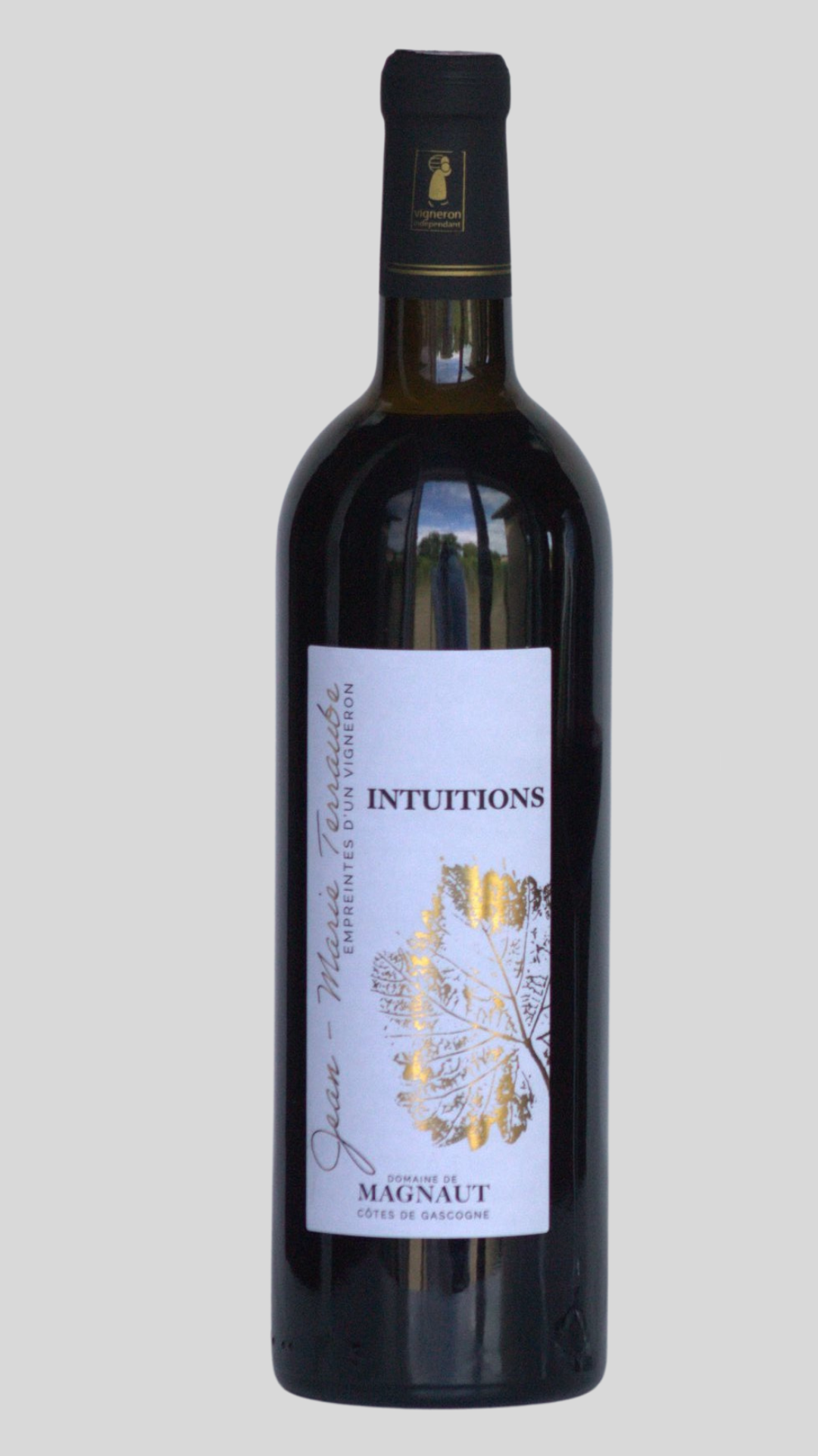 INTUITIONS